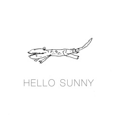 HELLO SUNNY