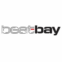 BEAT-BAYDOTCOM