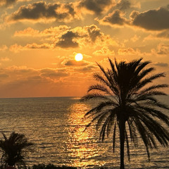 Hady Hayek
