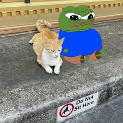 yoooWadup