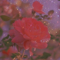 Sekai De Ichiban Hayaku Asa Ga Kuru BashoAnime Mermaid Melody Pichi Pichi Pitch ED Music Box 320kbps