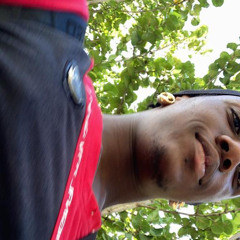 LUDO_TFT