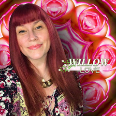 Willow Love 🌹