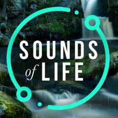 Sounds of Life ASMR