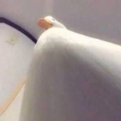 User 195109454