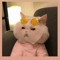 miowww