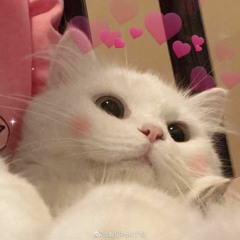 peachesssdtl