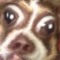 memphisdxg