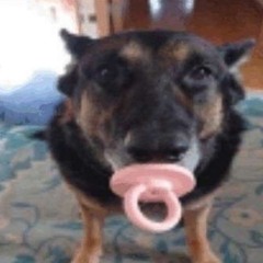 mah