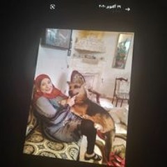 نشوه مصطفي