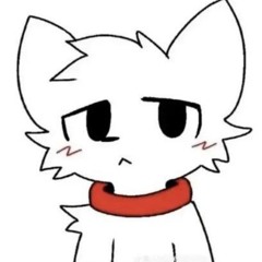 Tofu