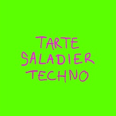 Tarte Saladier Techno