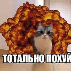 Далпайоп па имене Алежа