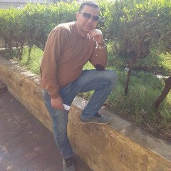 Mohamed Abd EL Raouf