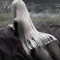 Swan
