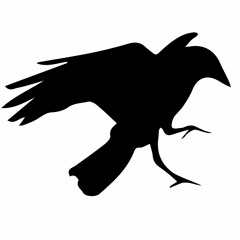 nakano crow