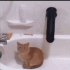 Cat in a bathtub with a massive dildo behind him
