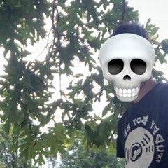 DaSruCtIoN