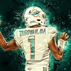 MIAMI DOLPHINS