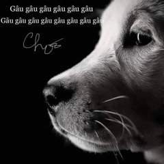 Trương Nam Anh