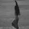 Narges