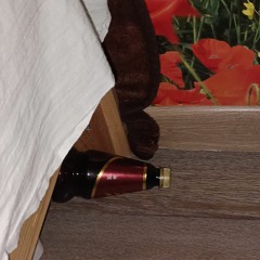 Денис Бостан