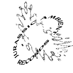 Jurassic Ambient Records