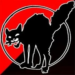 mvldîtø_bvztvrdø1312