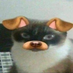 Gusta