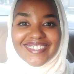 Alaa O. Marzoug