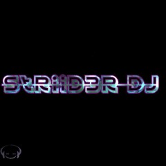 DJ StRiiD3R