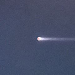 Future Widows Society