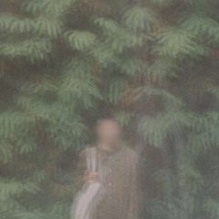 forest theme