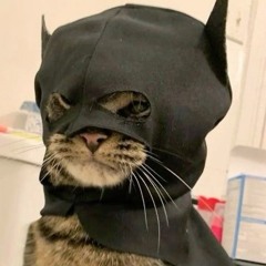 iAmGato