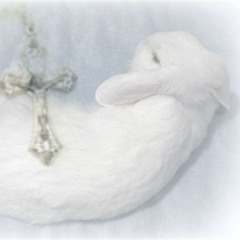 🐇