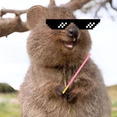 keepthebop