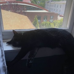 snugzu