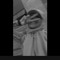 Haneen Abo Taleb