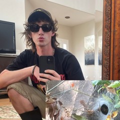 Pictures (feat. Clxrity)