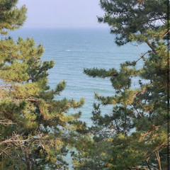 Huelinh