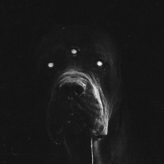 Samson Lamar