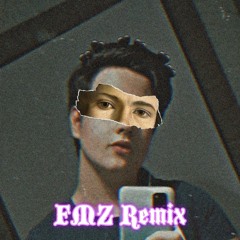 FMZ REMIX