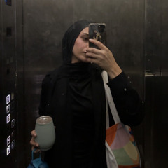 Zeinab HL