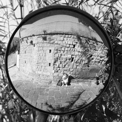 La Banana Senza Senso