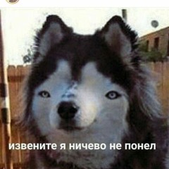 oddcomeshortt@gmail.com
