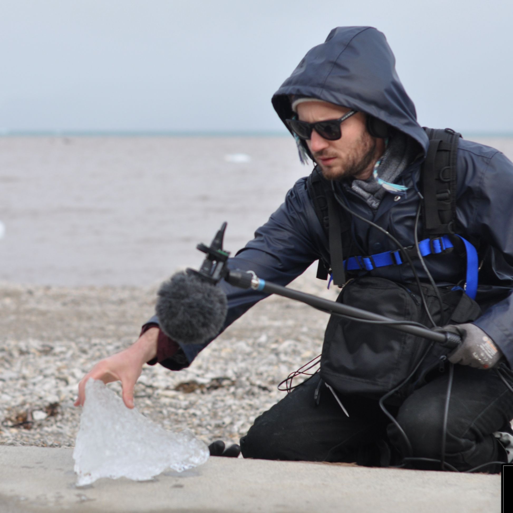 serie di podcasts sull'apicoltura