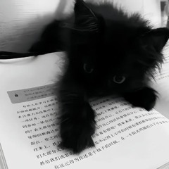 Darkoow