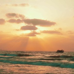 Haneen ashraf.