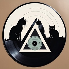 Alley Cat Orchestra