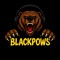 BlackPows